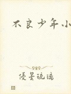 不良少年小说