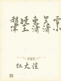 赵晓东吴雪晴郑伟王潇潇小说名字封面