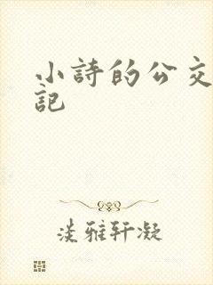 小诗的公交车日记