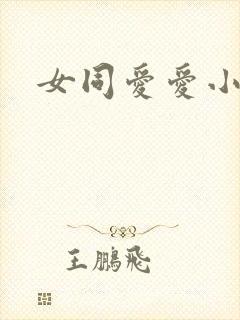女同爱爱小说封面