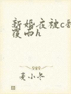 新婚夜被c翻云覆雨h