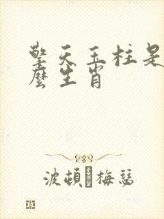 擎天玉柱是指什么生肖封面