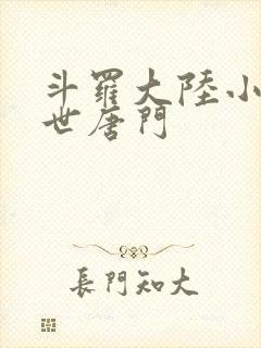 斗罗大陆小说绝世唐门