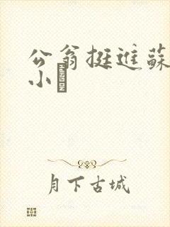 公翁挺进苏玥的小泬
