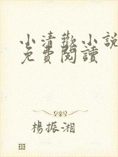 小清欢小说全文免费阅读