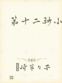 第十二秒小说封面