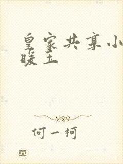 皇家共享小公主暖玉