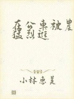 在公车被农民工猛烈进