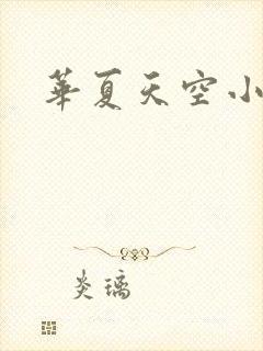 华夏天空小说网封面