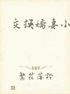交换娇妻小说