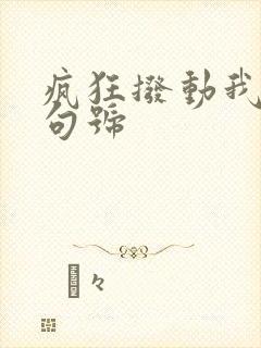 疯狂拨动我的小句号封面