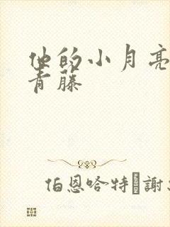 他的小月亮by青藤