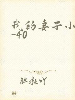 我的妻子小谨1-40