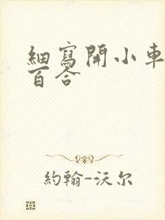 细写开小车车的百合