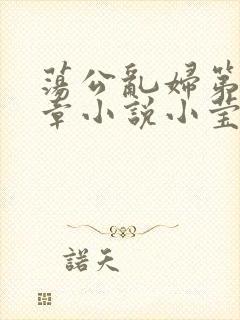 荡公乱妇第51章小说小莹