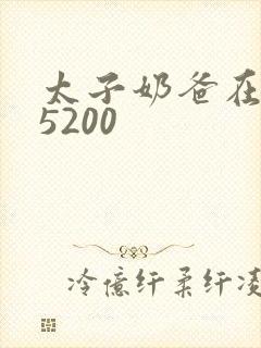 太子奶爸在花都5200