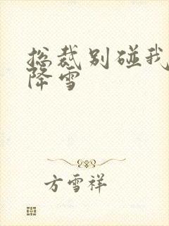 总裁别碰我 韩降雪