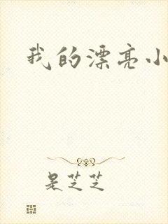 我的漂亮小后妈封面