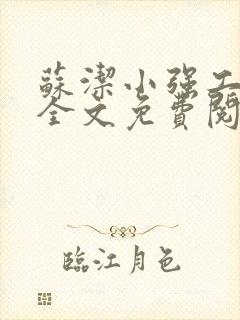 苏洁小强工地情全文免费阅读