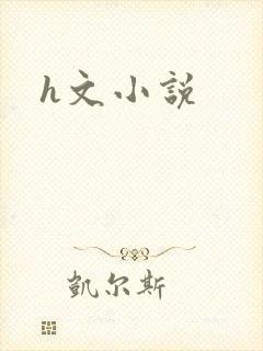 h文小说封面