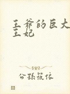 王爷的巨大进入王妃