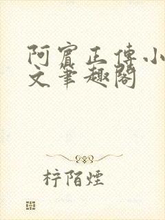 阿宾正传小说全文笔趣阁封面