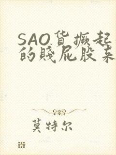 SAO货撅起你的贱屁股来