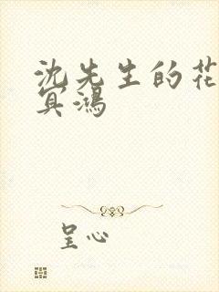 沈先生的花式调冥鸿