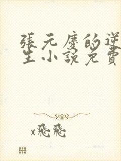 张元庆的逆袭人生小说免费阅读封面