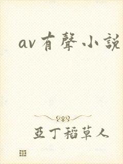 av有声小说