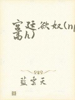 宫廷欲奴(np高h)