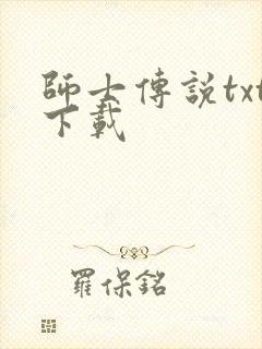师士传说txt下载