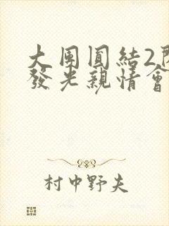 大团圆结2闪闪发光亲情会