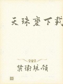 天珠变下载封面