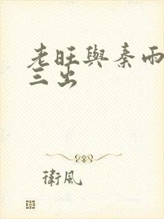 老旺与秦雨三进三出