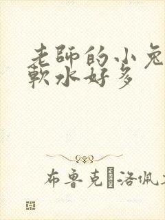 老师的小兔子好软水好多