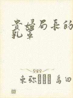 贵妇局长的蕾丝乳罩