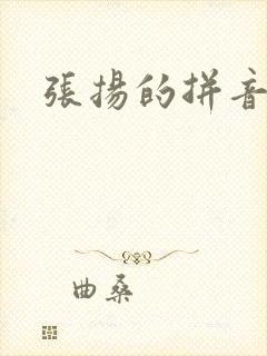 张扬的拼音封面