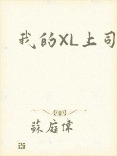 我的XL上司封面