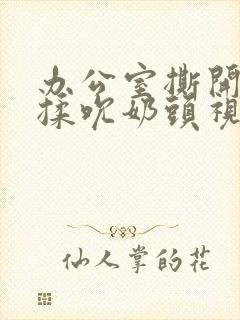 办公室撕开奶罩揉吮奶头视频