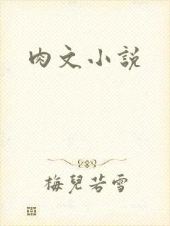肉文小说