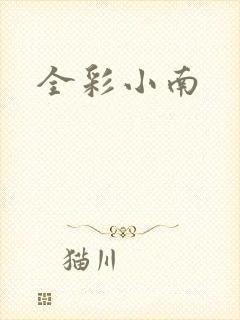 全彩小南封面