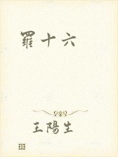 罗十六封面
