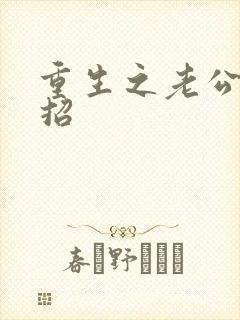 重生之老公请接招封面