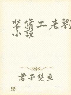 装修工老刘林雪小说