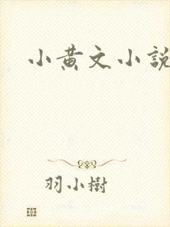 小黄文小说