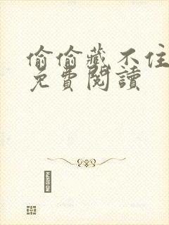 偷偷藏不住小说免费阅读