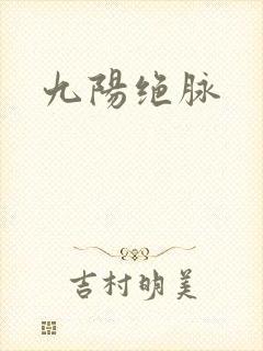 九阳绝脉封面