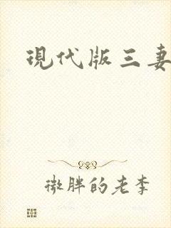 现代版三妻四妾