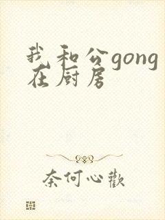 我和公gong在厨房
